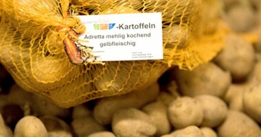 Kartoffeln im Netz