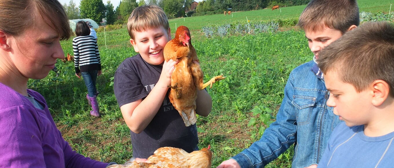 Kinder beschäftigen sich mit Hühnern